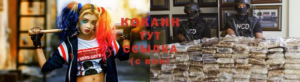 шишки Карталы