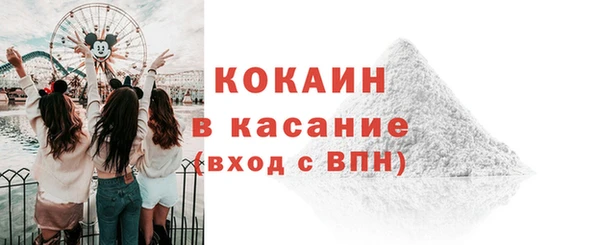 шишки Карталы