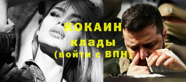 шишки Карталы