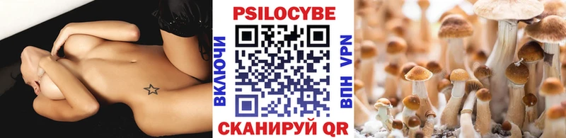 Купить закладки  Вяземский  Галлюциногенные грибы Cubensis 